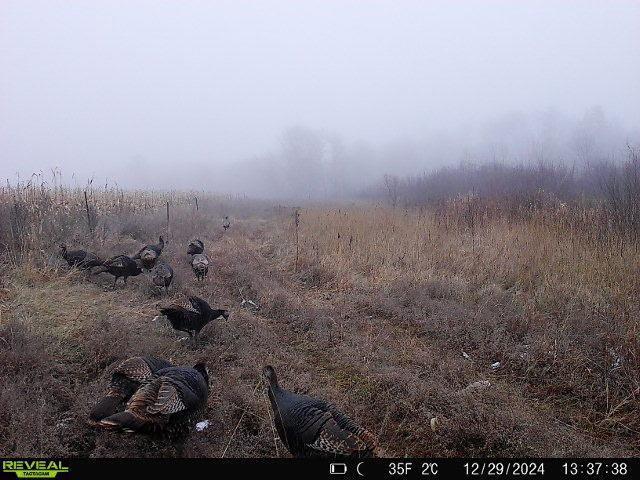 79.61 Acres 83rd Ave Sw, Verndale, Minnesota image 26