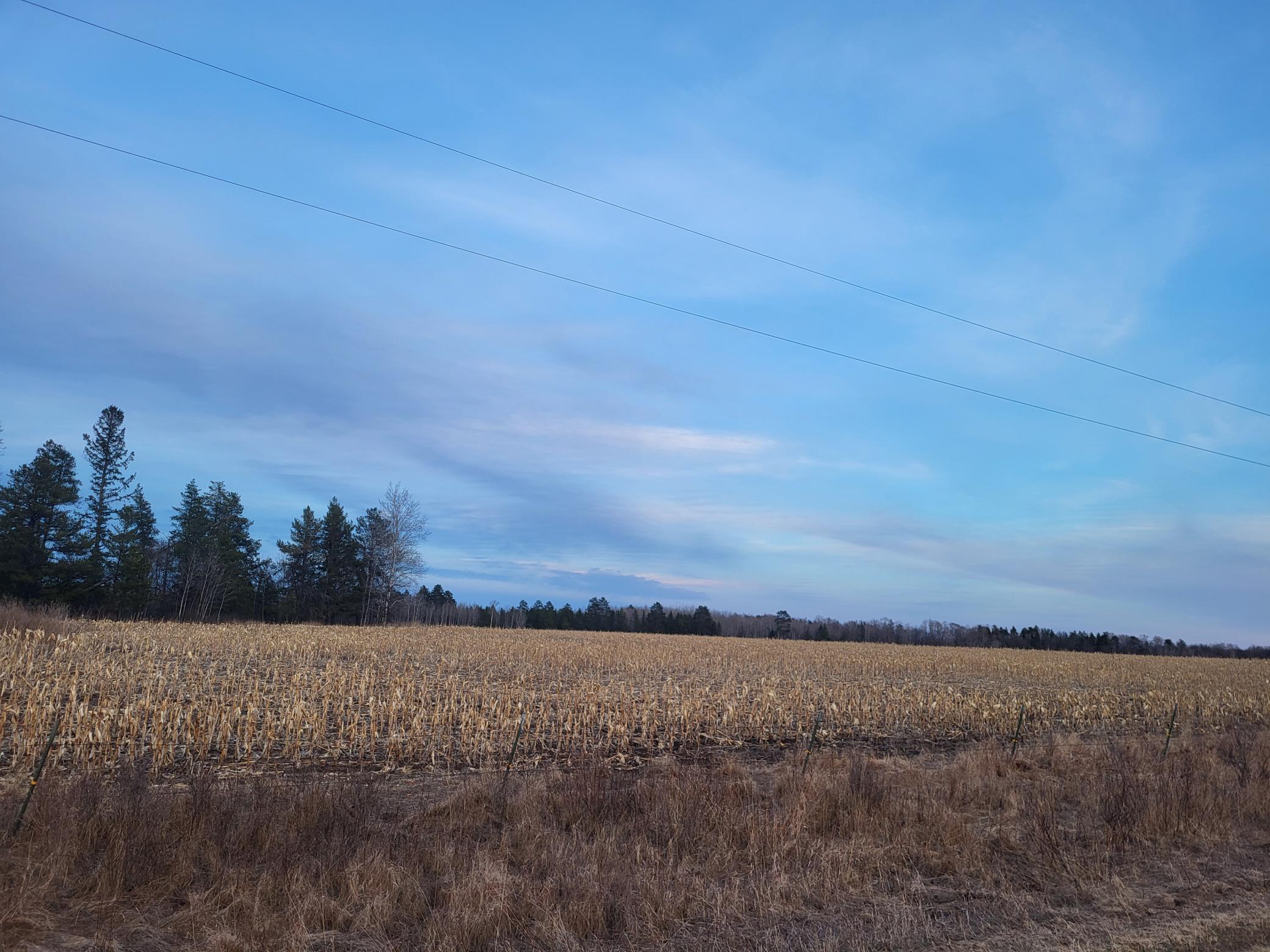 79.61 Acres 83rd Ave Sw, Verndale, Minnesota image 22