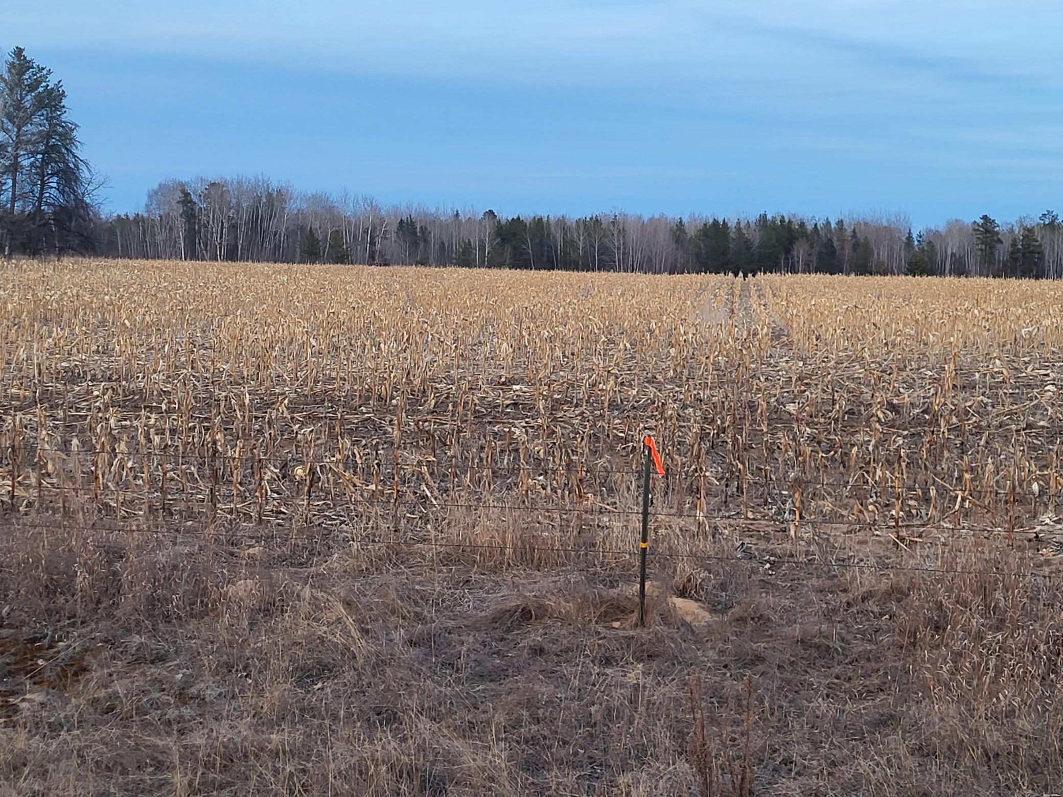 79.61 Acres 83rd Ave Sw, Verndale, Minnesota image 24