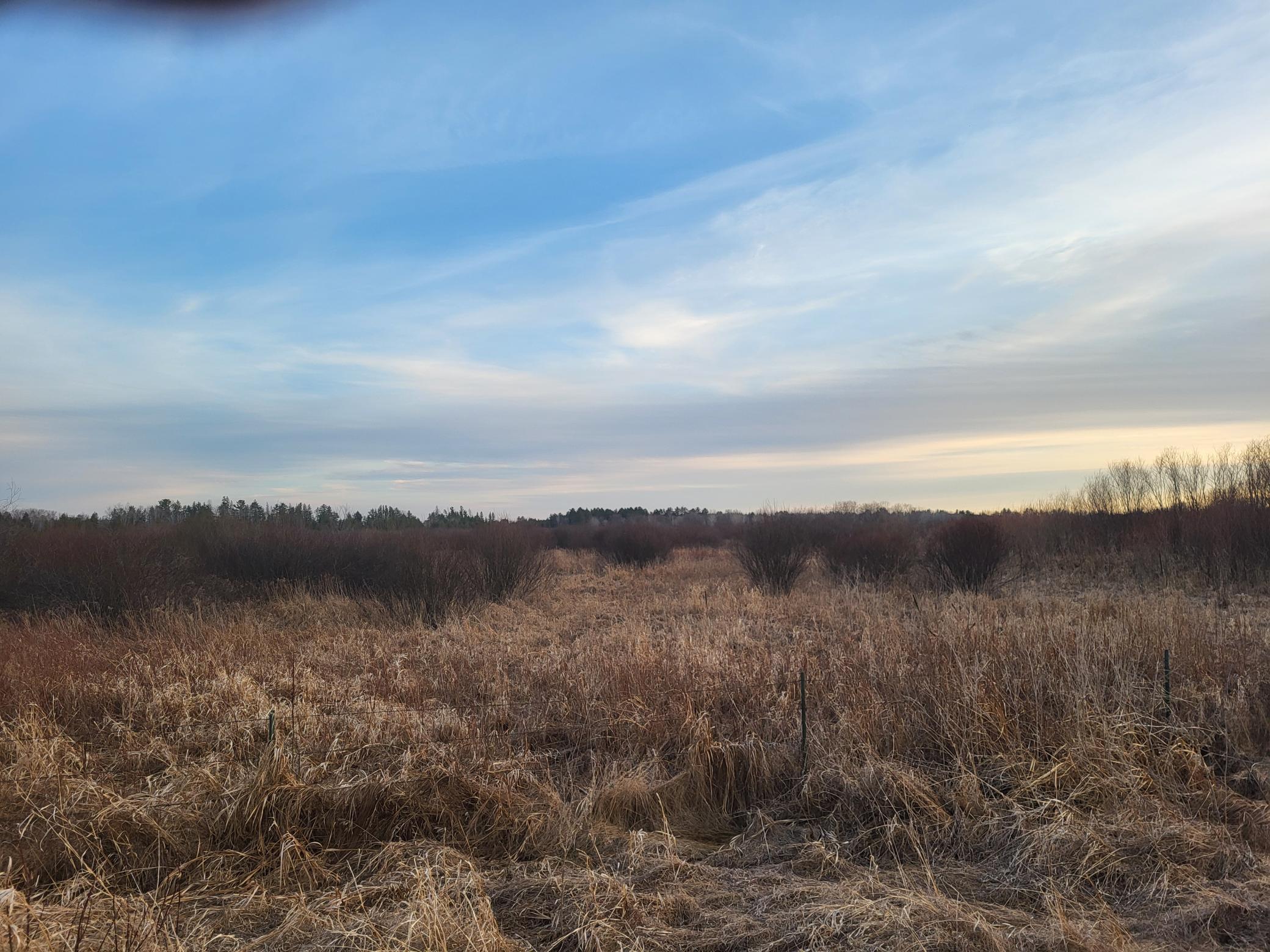 79.61 Acres 83rd Ave Sw, Verndale, Minnesota image 9