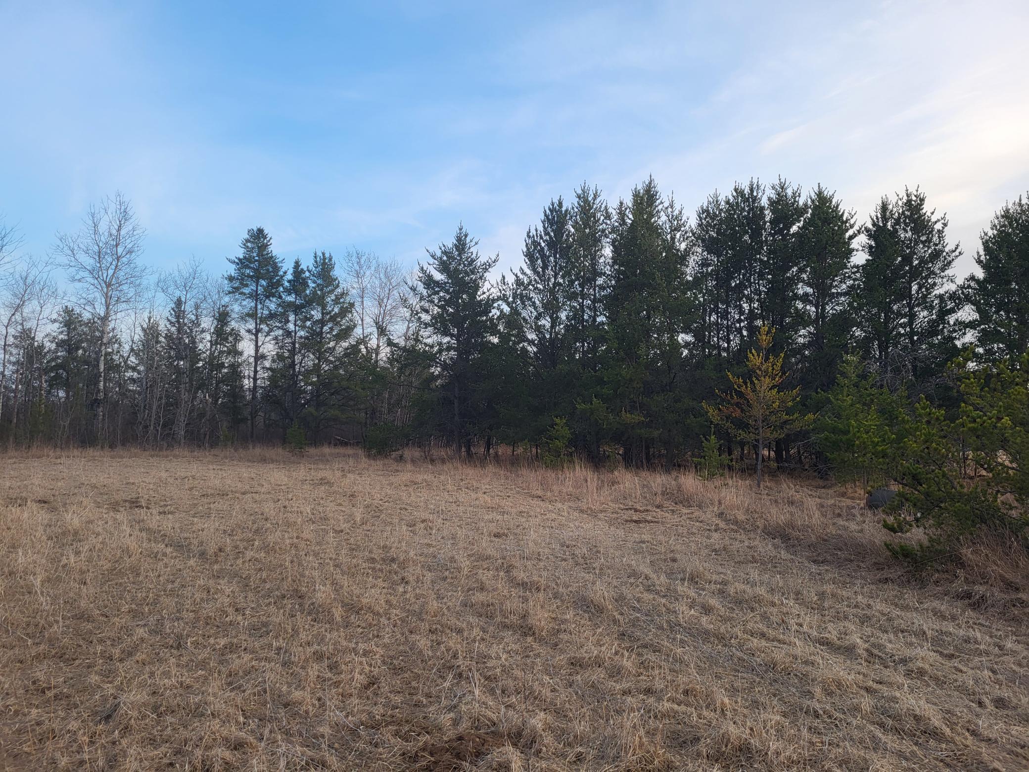 79.61 Acres 83rd Ave Sw, Verndale, Minnesota image 21