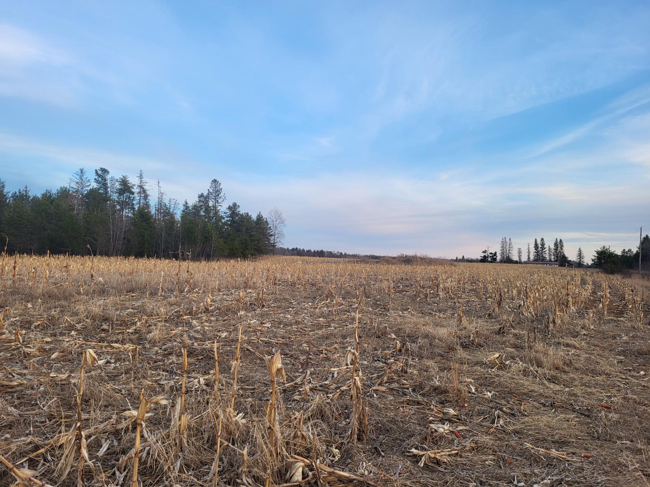 79.61 Acres 83rd Ave Sw, Verndale, Minnesota image 17