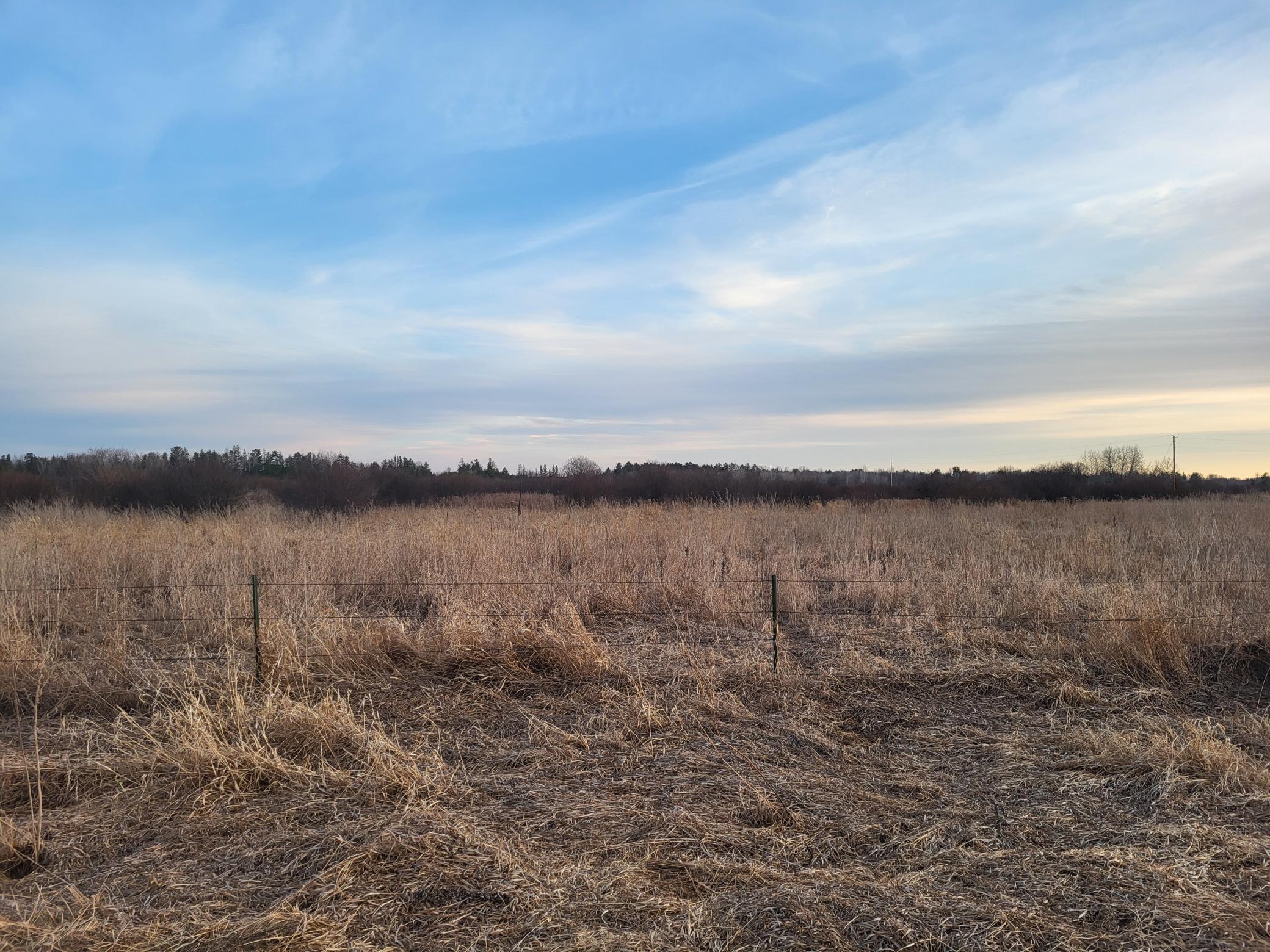 79.61 Acres 83rd Ave Sw, Verndale, Minnesota image 11