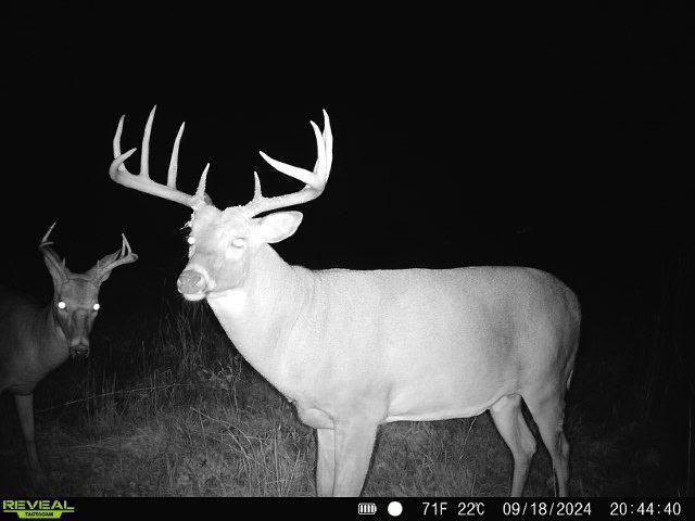 79.61 Acres 83rd Ave Sw, Verndale, Minnesota image 25