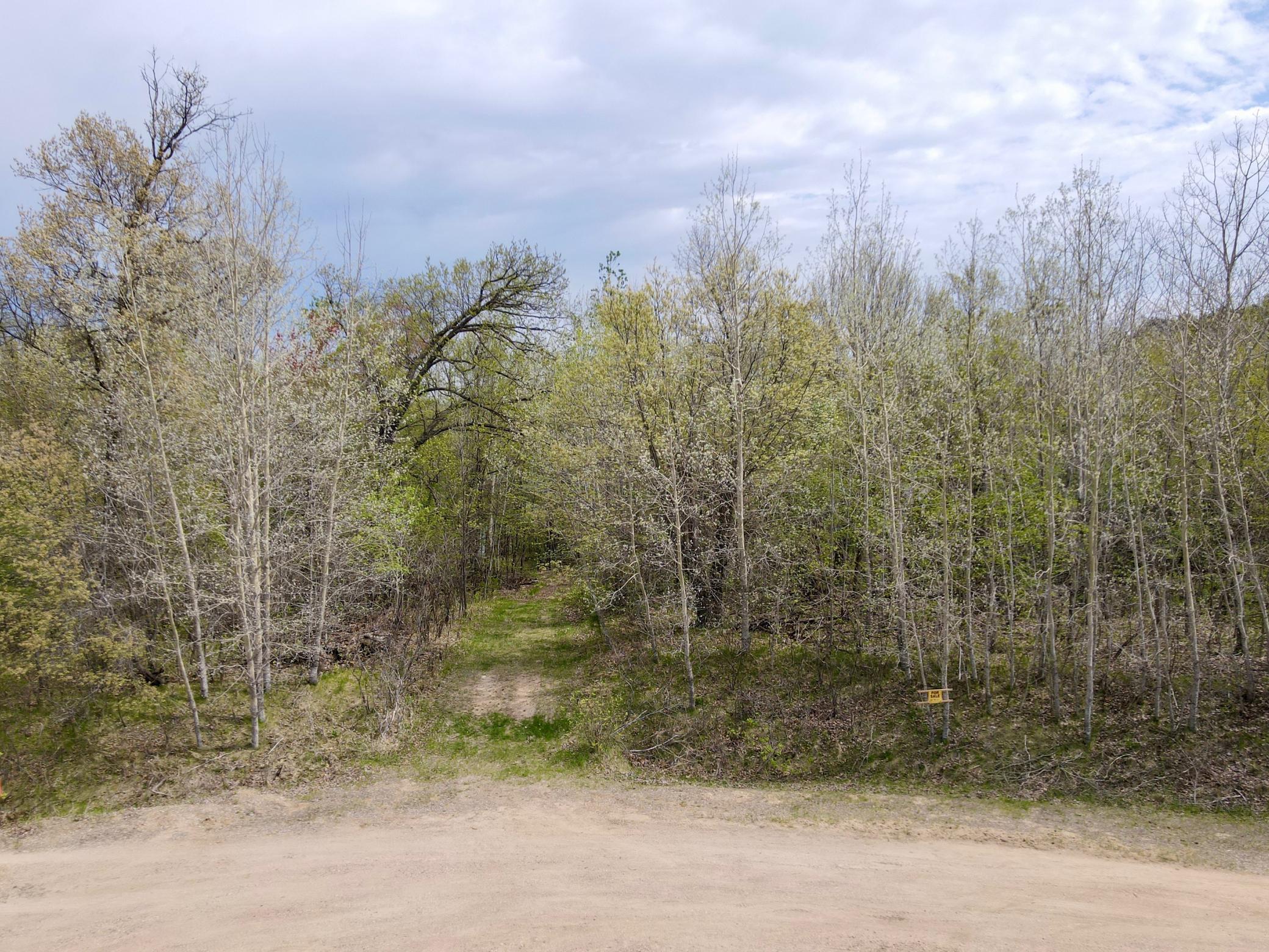 TBD Curly Dr, Deer Creek, Minnesota image 6