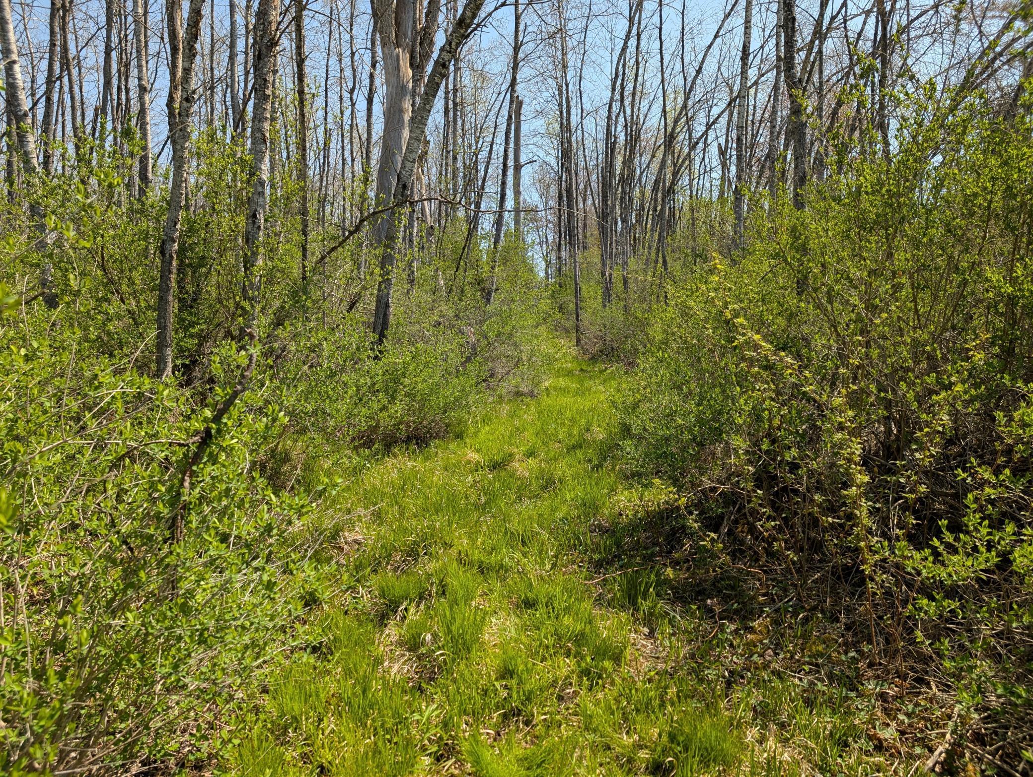 4741N Western Breeze, Ojibwa, Wisconsin image 14