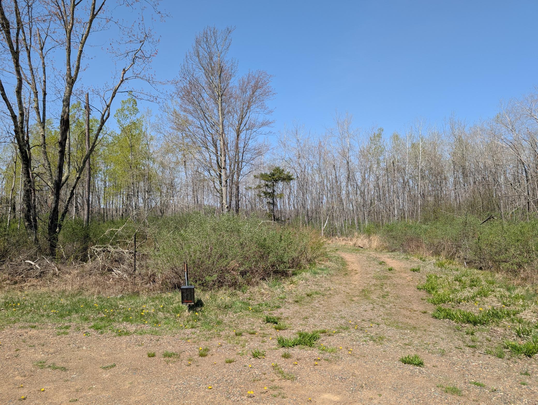 4741N Western Breeze, Ojibwa, Wisconsin image 3