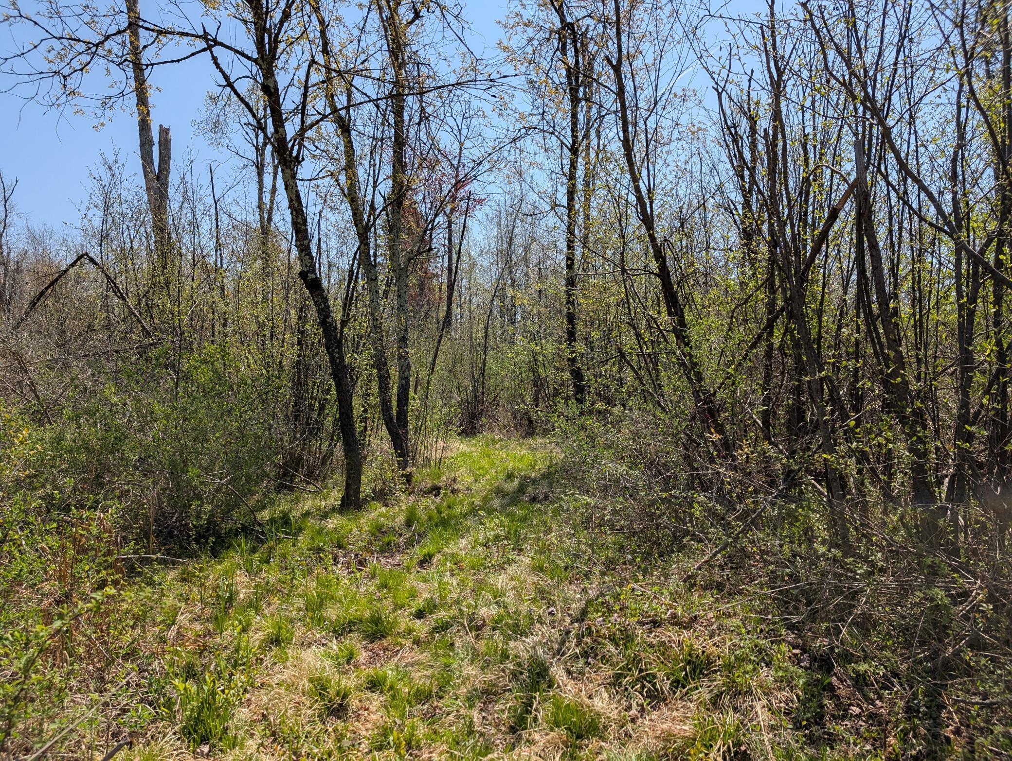 4741N Western Breeze, Ojibwa, Wisconsin image 12