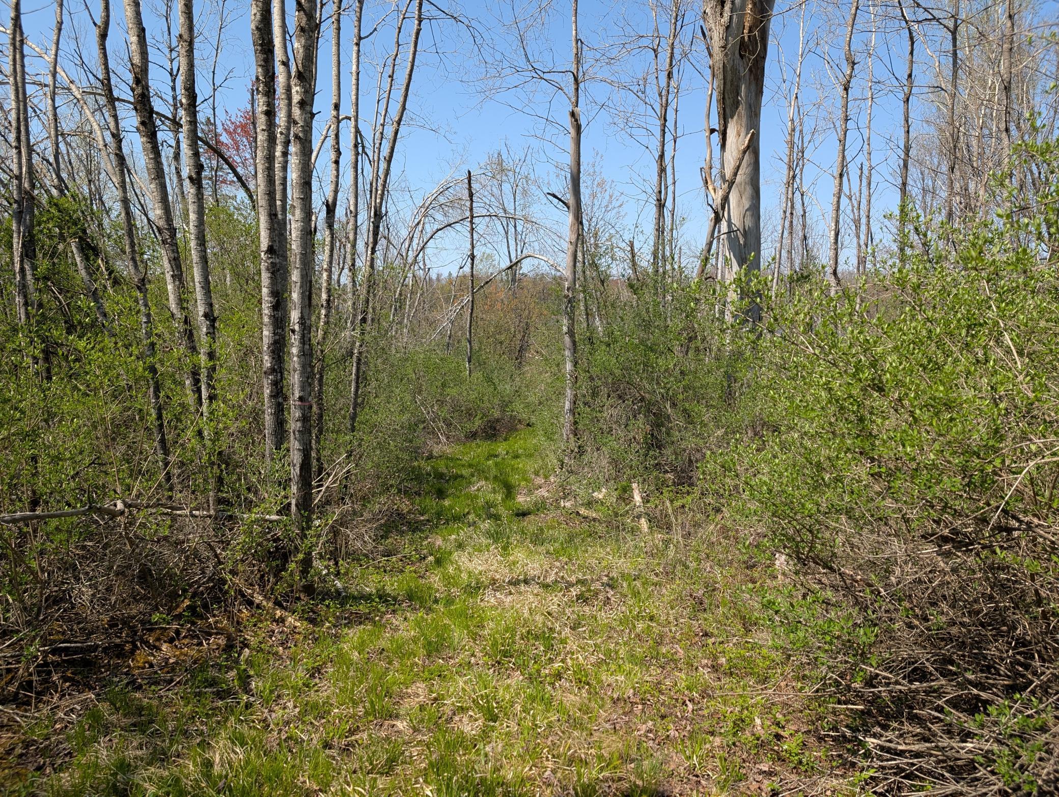 4741N Western Breeze, Ojibwa, Wisconsin image 9
