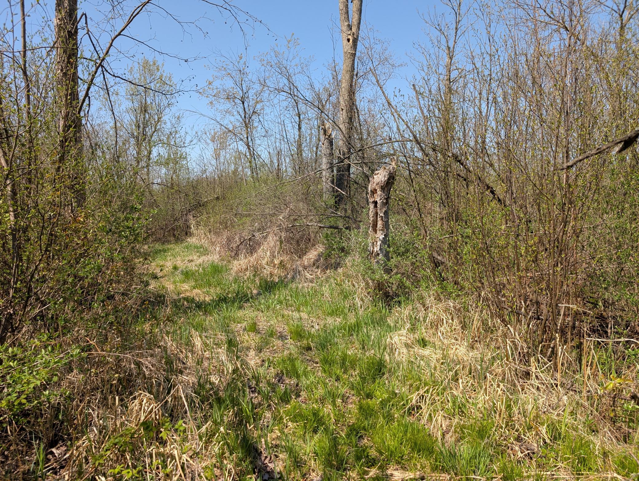 4741N Western Breeze, Ojibwa, Wisconsin image 11