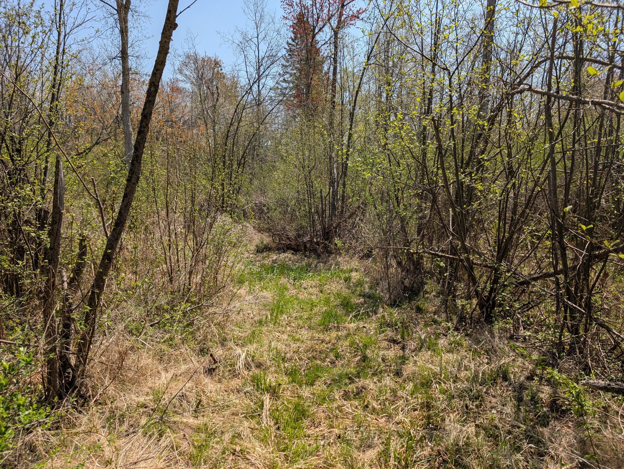 4741N Western Breeze, Ojibwa, Wisconsin image 13