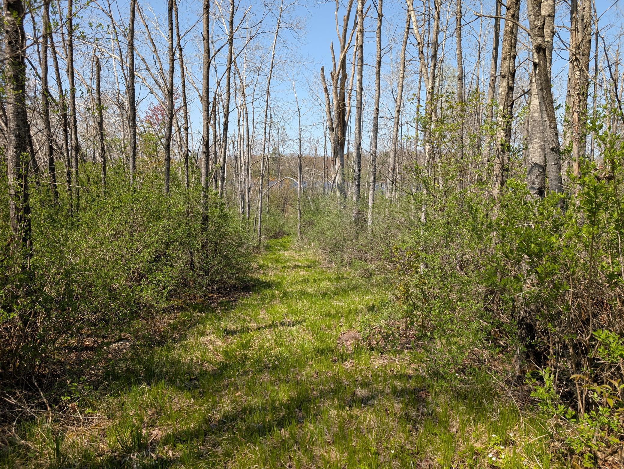 4741N Western Breeze, Ojibwa, Wisconsin image 8