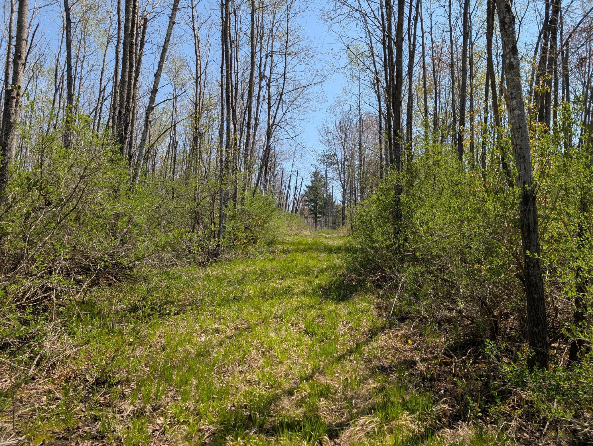 4741N Western Breeze, Ojibwa, Wisconsin image 15