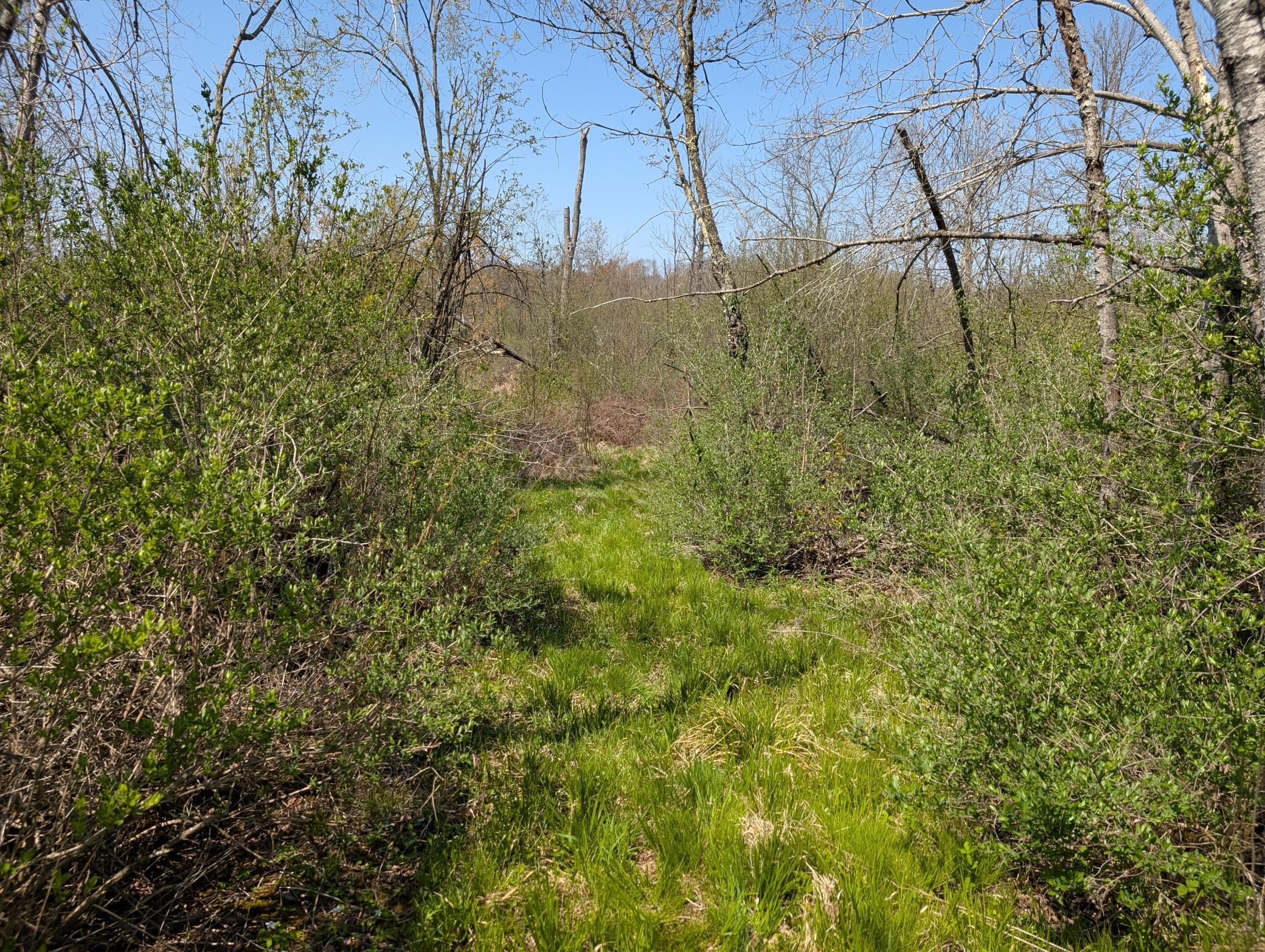 4741N Western Breeze, Ojibwa, Wisconsin image 10