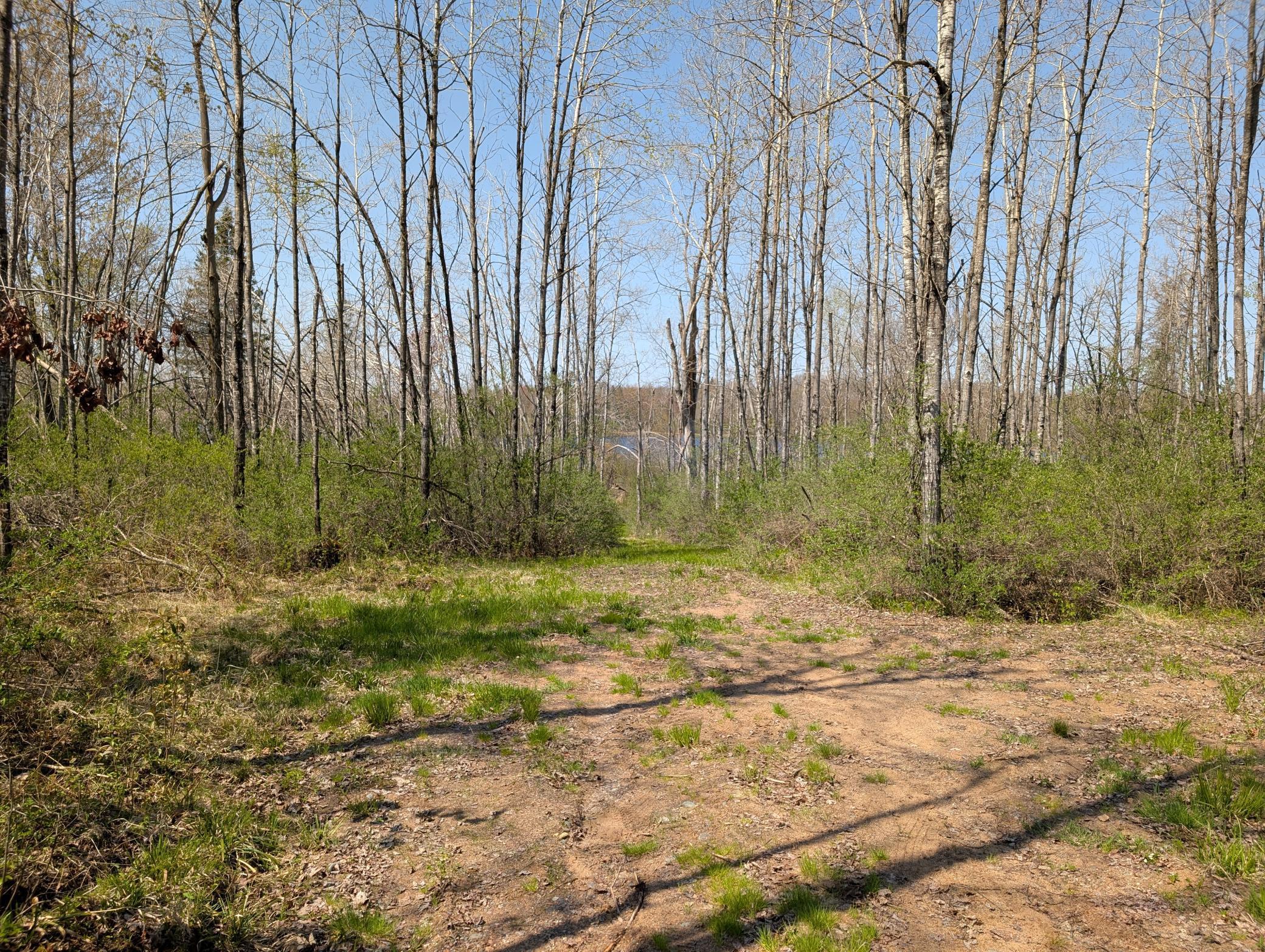 4741N Western Breeze, Ojibwa, Wisconsin image 5