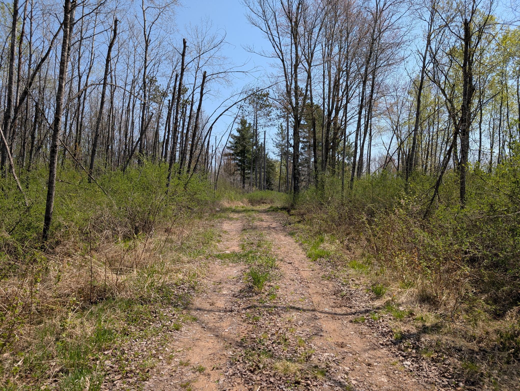 4741N Western Breeze, Ojibwa, Wisconsin image 4