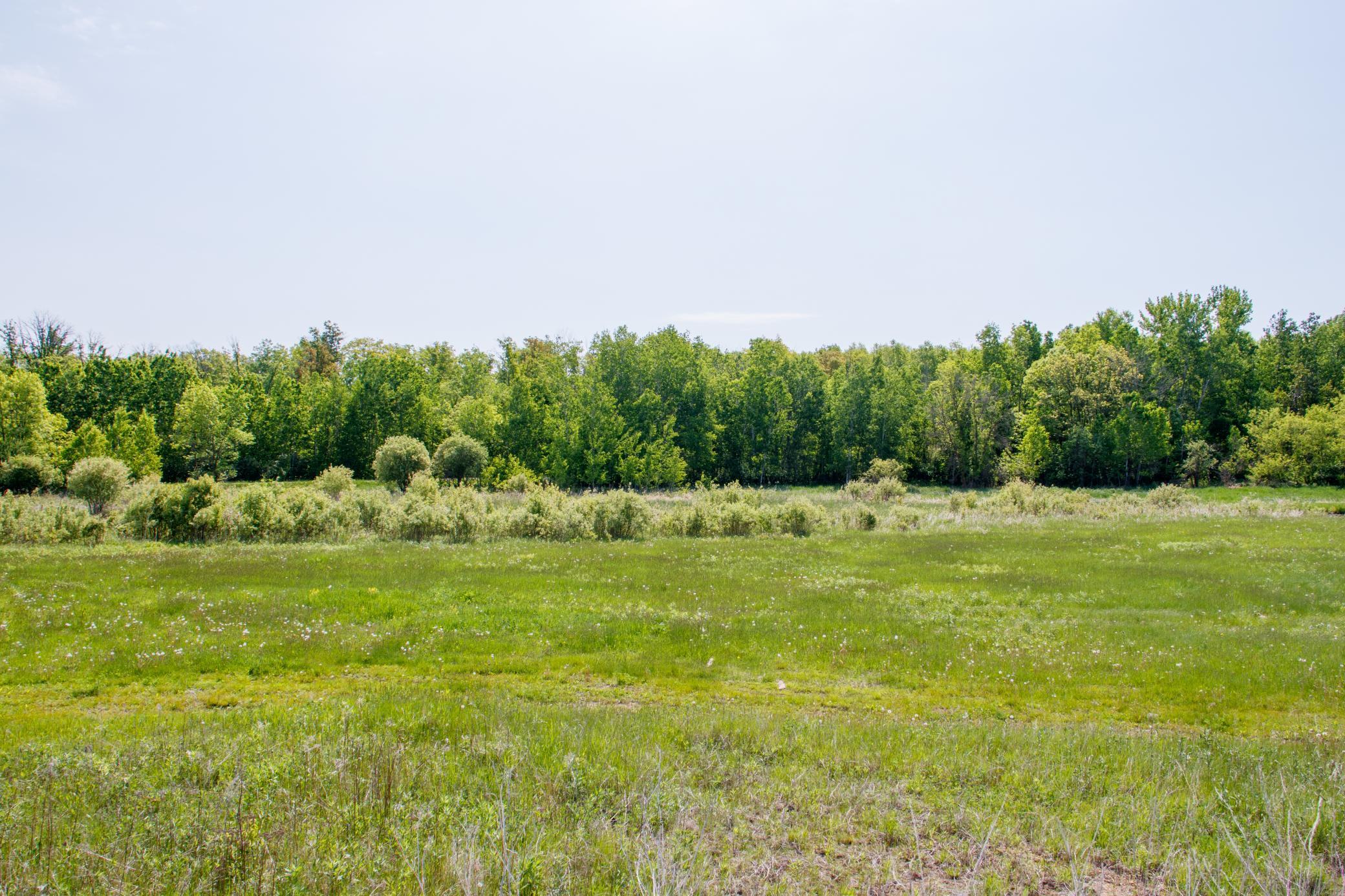 TBD 225th Avenue, Staples, Minnesota image 14