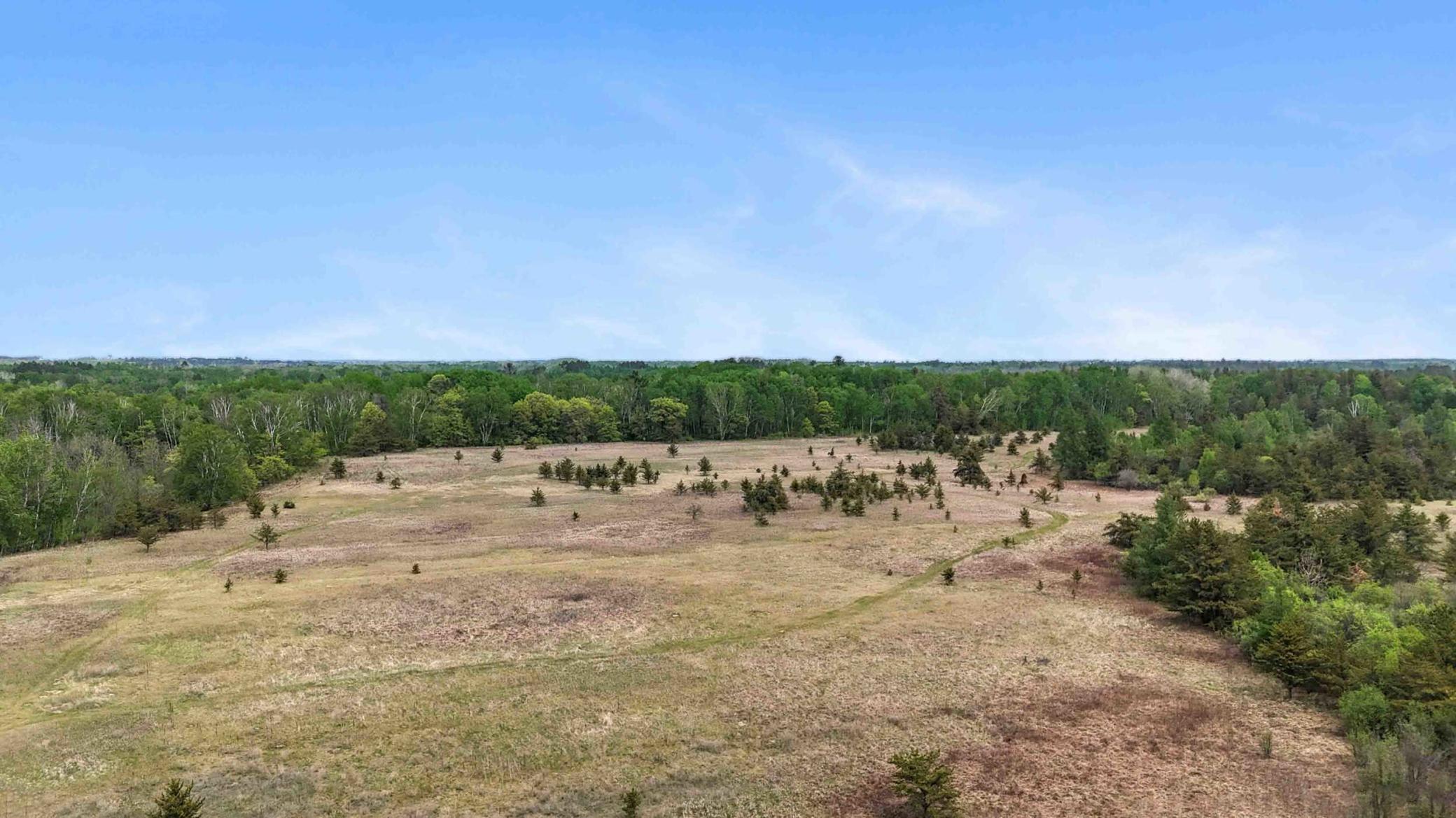 TBD County 49, Pine River, Minnesota image 1
