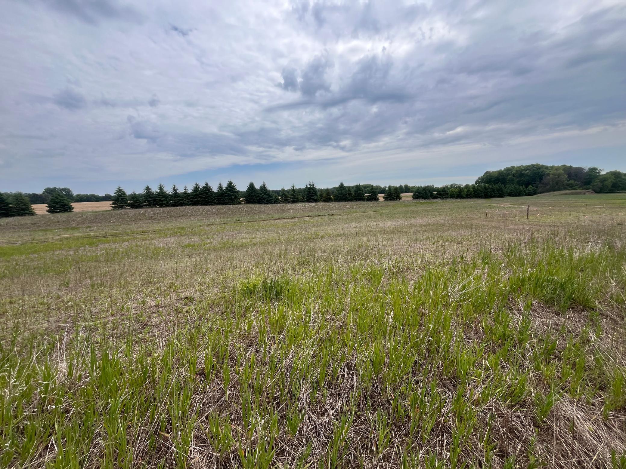 21103 Tippecanoe Street, East Bethel, Minnesota image 3