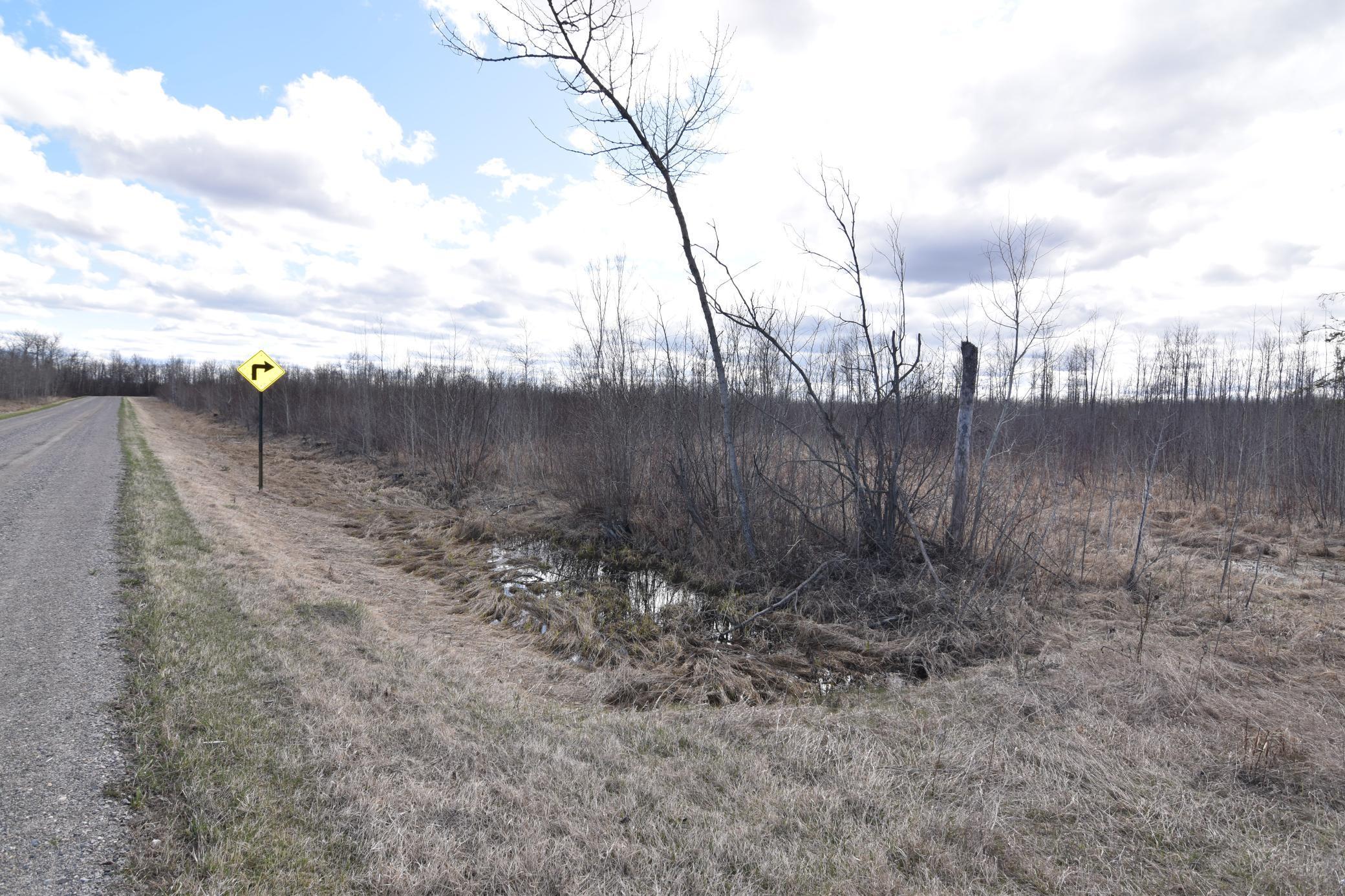 21st SW Ave, Baudette, Minnesota image 3