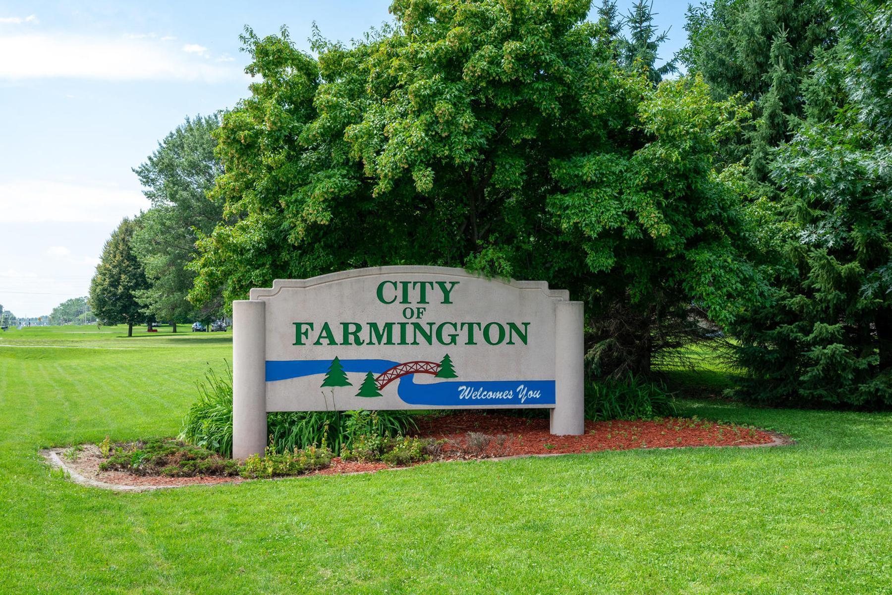 19318 Colonial Trail, Farmington, Minnesota image 28