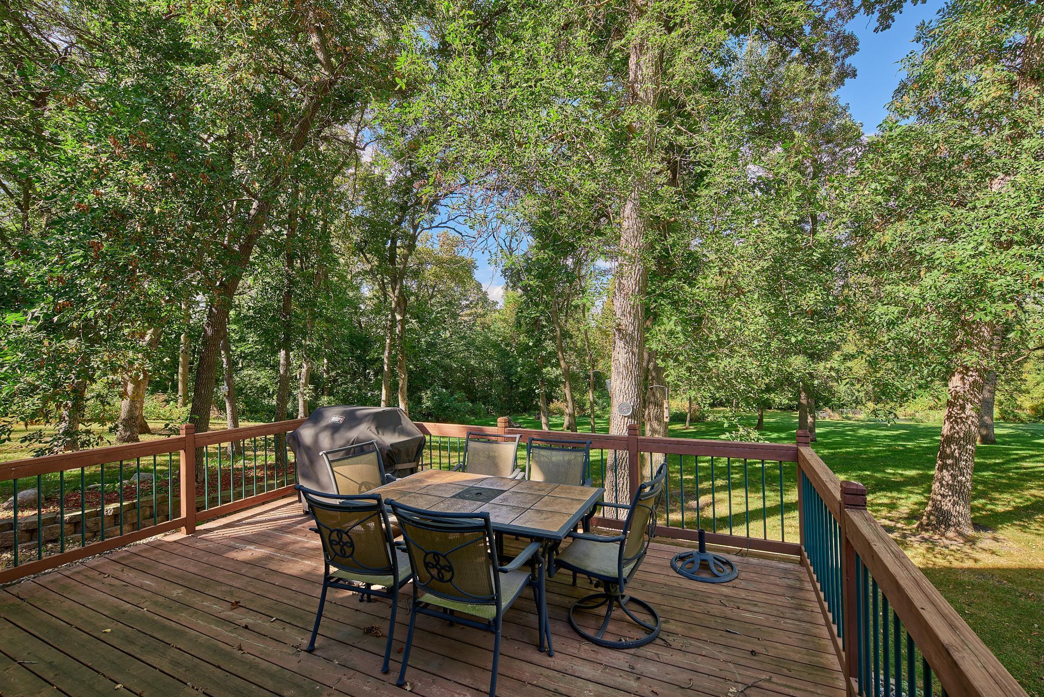 11795 Aldrich Road, Brandon, Minnesota image 49