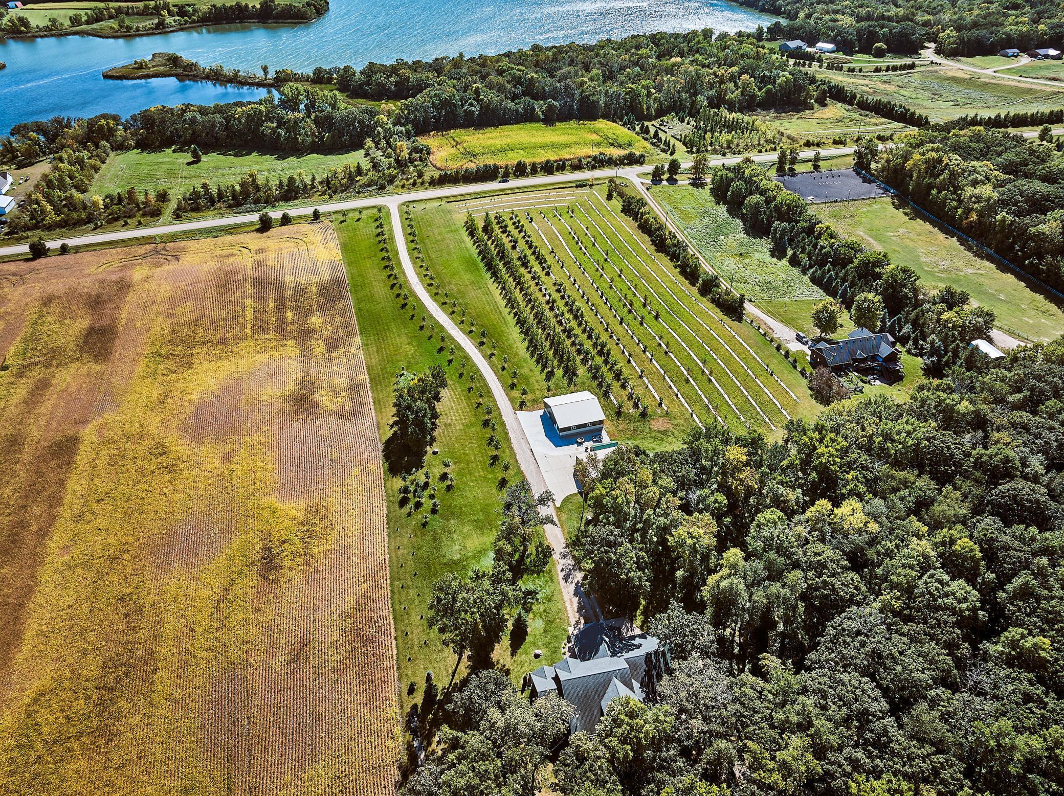 11795 Aldrich Road, Brandon, Minnesota image 3