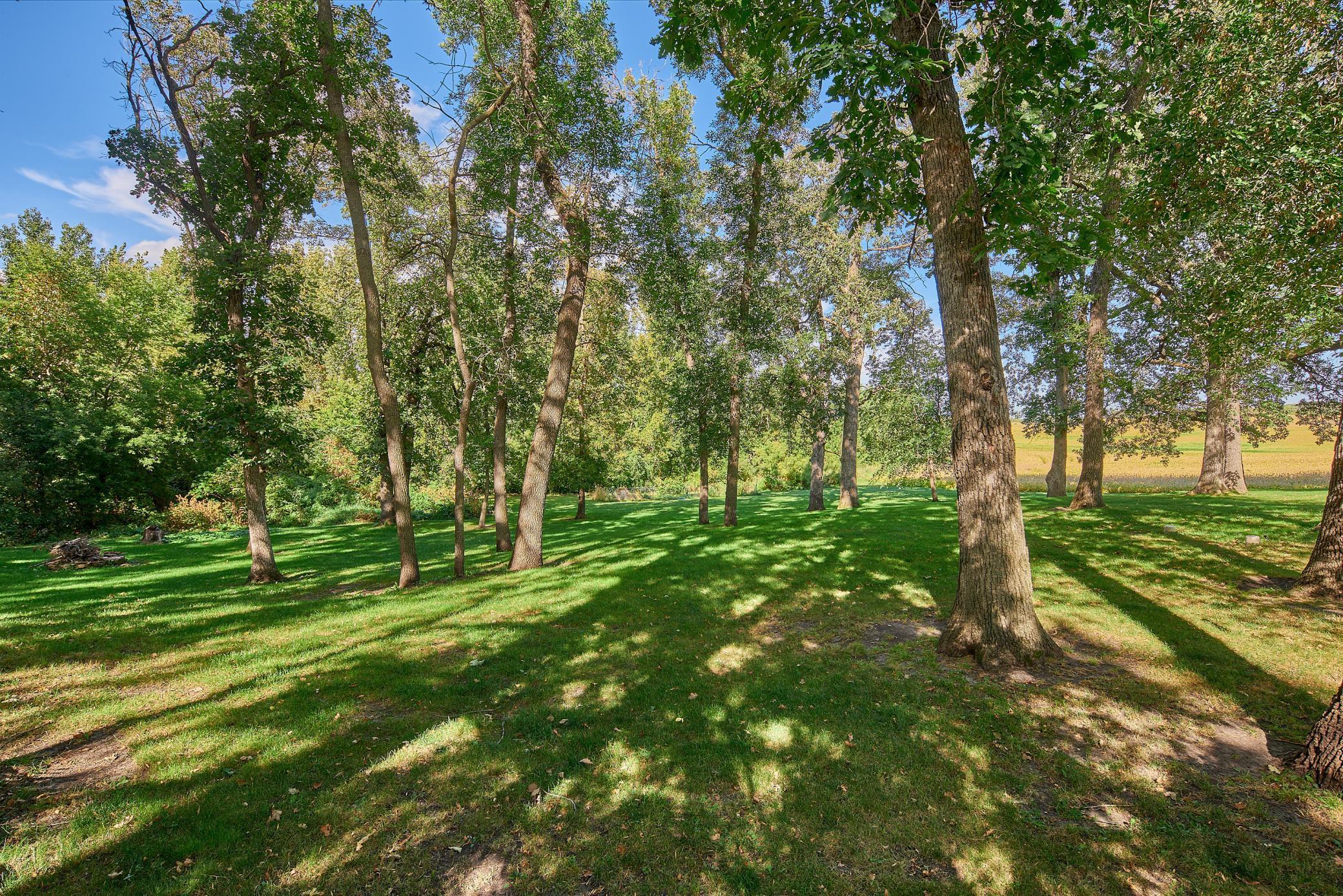 11795 Aldrich Road, Brandon, Minnesota image 8