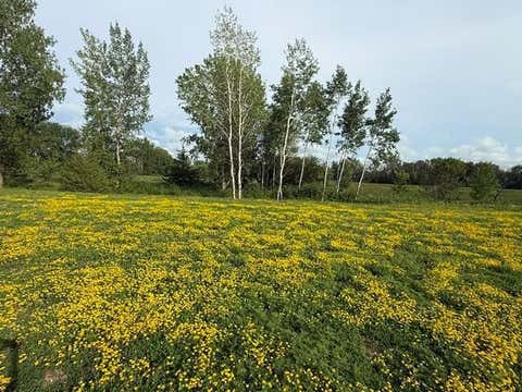 Vacant Land For Sale - 26361 Preserve Drive<br/> Scott County, Elko New Market, MN 55054