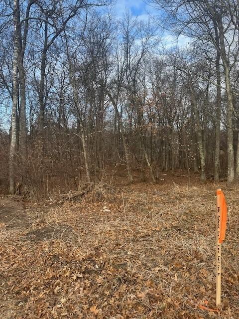 L5B1 Shady Lane, Crosslake, Minnesota image 16