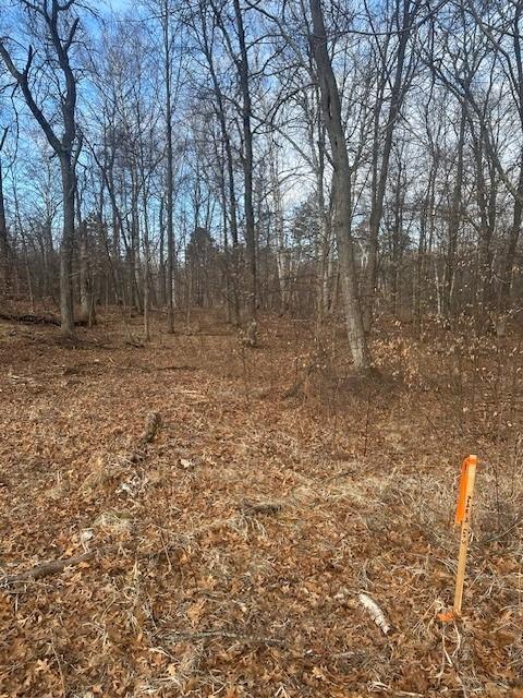 L5B1 Shady Lane, Crosslake, Minnesota image 15