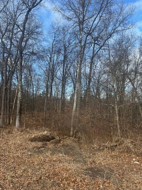 L5B1 Shady Lane, Crosslake, Minnesota image 14