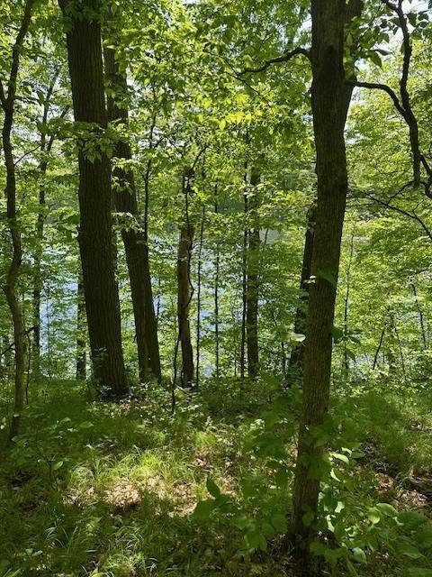 Lot 5 64th Street, Luck, Wisconsin image 3