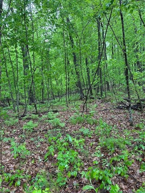 Lot 5 64th Street, Luck, Wisconsin image 10