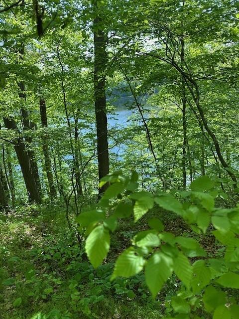 Lot 5 64th Street, Luck, Wisconsin image 2