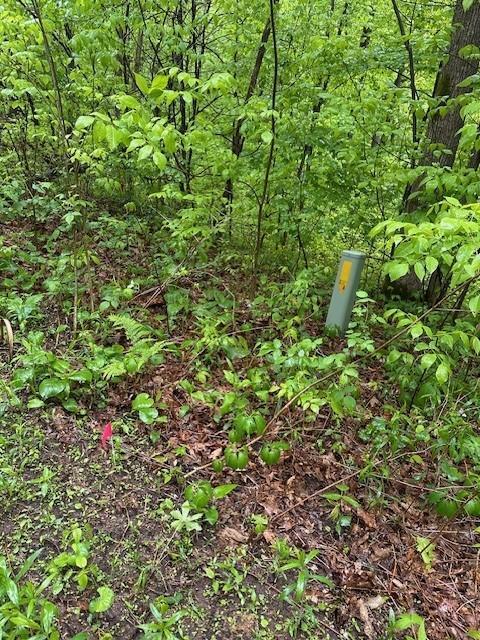 Lot 5 64th Street, Luck, Wisconsin image 12