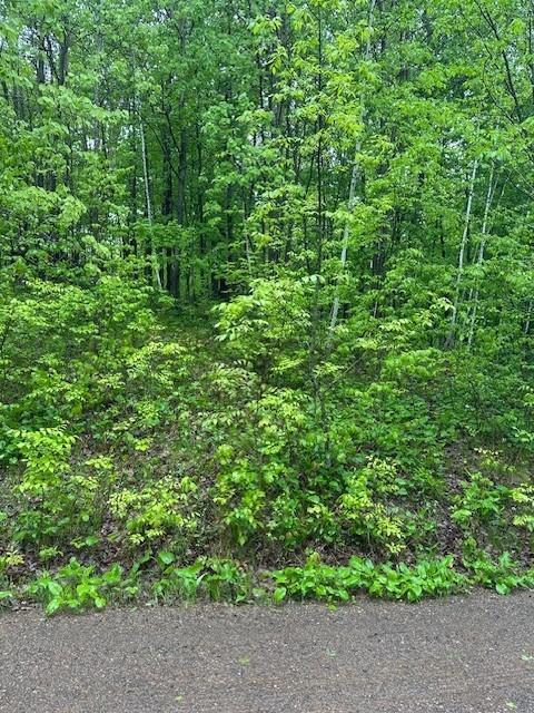 Lot 5 64th Street, Luck, Wisconsin image 9