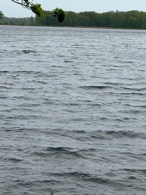 Lot 5 64th Street, Luck, Wisconsin image 14