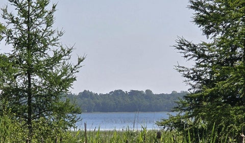 Vacant Land For Sale - 5136 Basswood Lane<br/> Bemidji, MN 56601