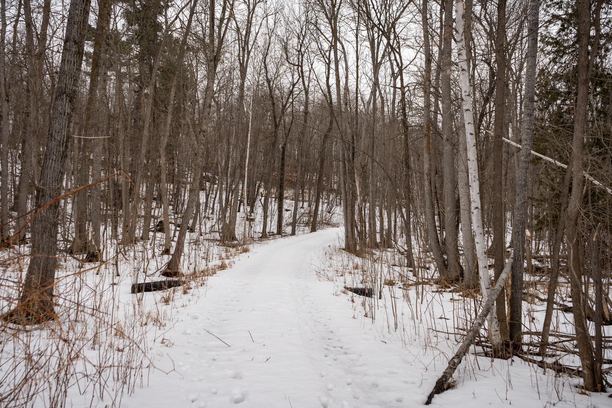 TBD Deer Haven Bay Drive, Remer, Minnesota image 13