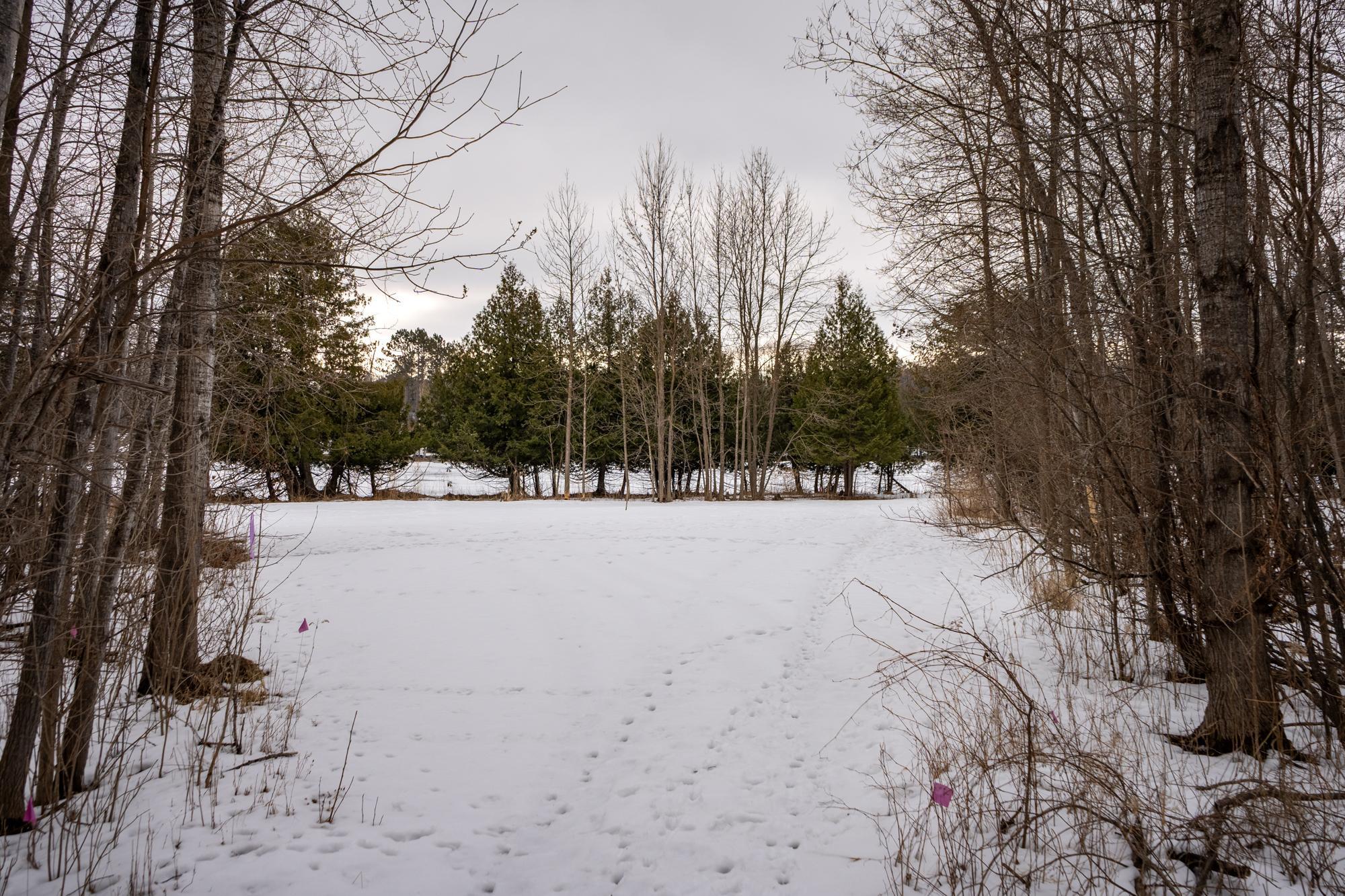 TBD Deer Haven Bay Drive, Remer, Minnesota image 7