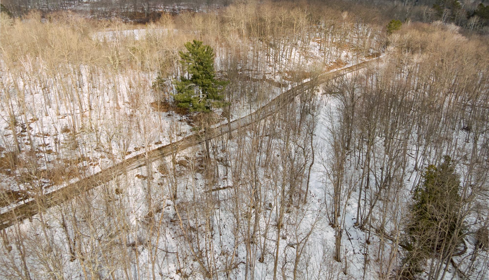 TBD Deer Haven Bay Drive, Remer, Minnesota image 9