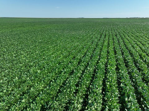 Vacant Land For Sale - 000 60th Street<br/> Benson, MN 56215