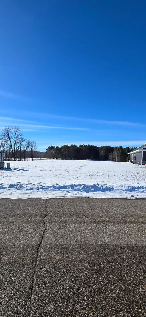 Vacant Land For Sale - TBD Old Glory Road<br/> Douglas County, Alexandria, MN 56308