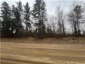TBD Birdsview Lane, Bemidji, Minnesota image 1
