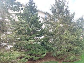 1595 Fox Hunt Way, Victoria, Minnesota image 3