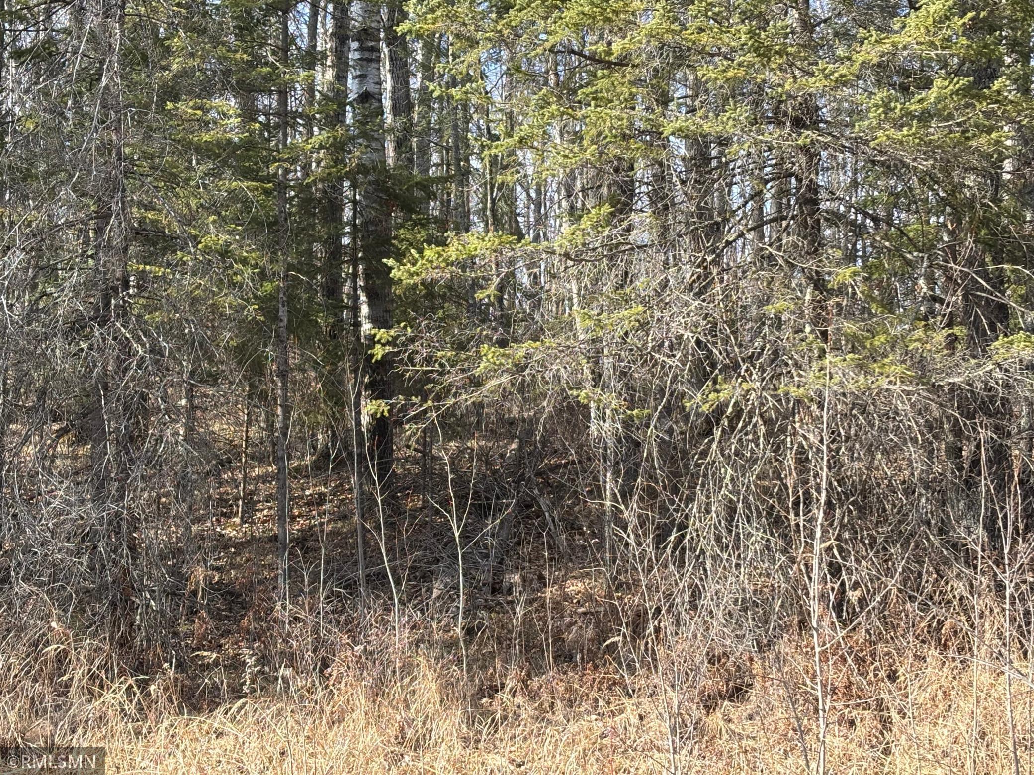 48613 334th Place, Palisade, Minnesota image 3