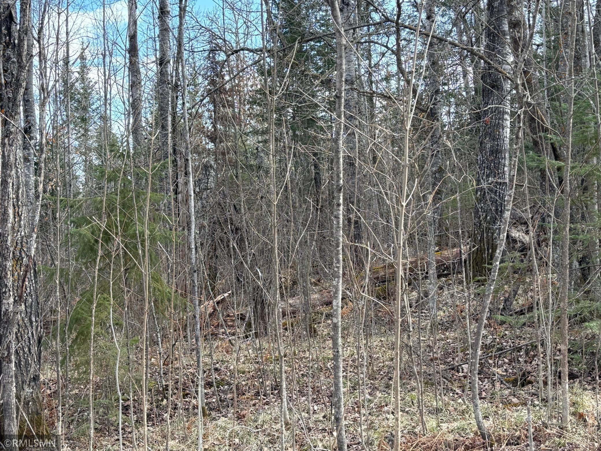 48613 334th Place, Palisade, Minnesota image 1