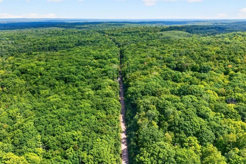 Vacant Land For Sale - BLOCK 9 Comet Road<br/> Sawyer County, Exeland, WI 54835