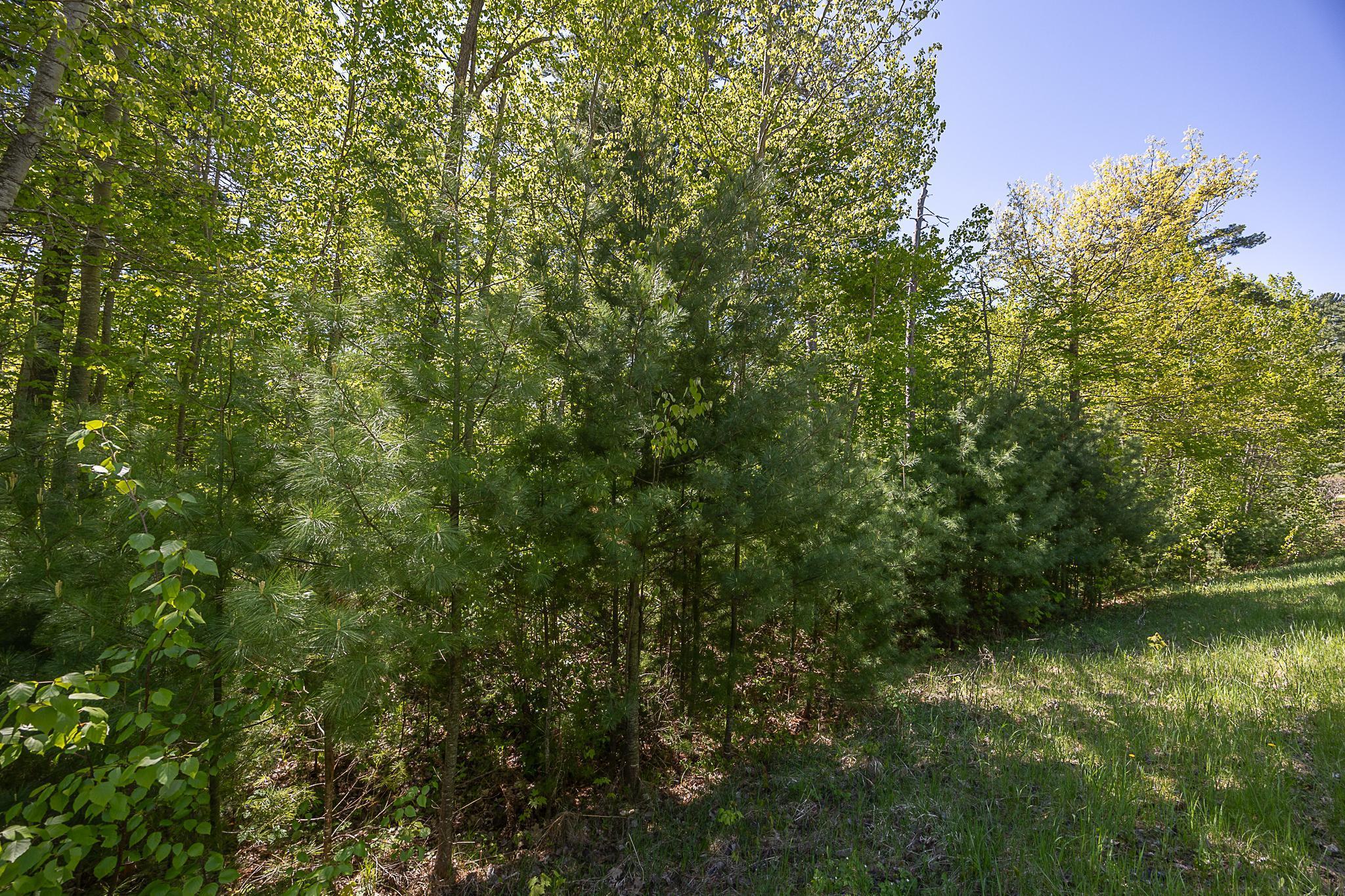 TBD Cardarelle Court, Hackensack, Minnesota image 12